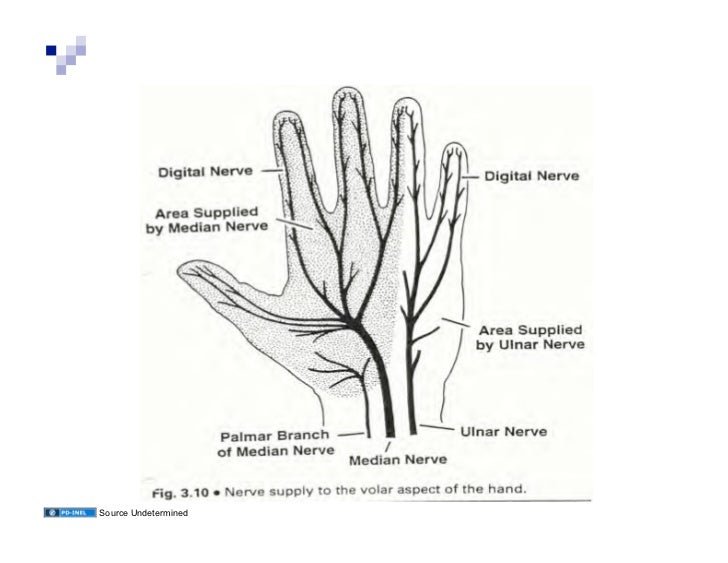 UPPER EXTREMITY ACTIVE RANGE OF MOTION EXERCISES - Auto Electrical