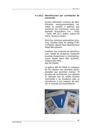 Sección 4



              4.1.9.8.2	 Identificación	 por	 asimilación	 de	
                         nutrientes

                        Existen diferentes sistemas de iden-
                        tificación semiautomatizados ba-
                        sados en paneles o galerías que
                        contienen los nutrientes, como por
                        ejemplo: Auxacolor, Uni – Yeast
                        - Tek, API 20 C AUX, Galeria ID
                        32C, Sistema Vitek.

                        Entre los sistemas automáticos tene-
                        mos: Sistema Vitek 2, Biolog YT Mi-
                        croPlate, Rapid Yeast Identification
                        Panel MicroScan.

                        También hay sistemas de identifica-
                        ción rápida de levaduras mediante
                        pruebas bioquímicas y enzimáticas,
                        como: Rapid Yeast Plus System,
                        Fungiscreen 4H.
                        Api 20 CAUX

                        La galeria API 20 CAUX se compone
                        de 20 cúpulas con sustratos deshi-
                        dratados que permiten realizar 19
                        pruebas de asimilación. Las cúpulas
                        se inoculan con un medio mínimo
                        semisólido y las levaduras sólo se
                        reproducen si son capaces de utili-
                        zar el sustrato correspondiente.




                                                            55
INS-CNSP-44
 