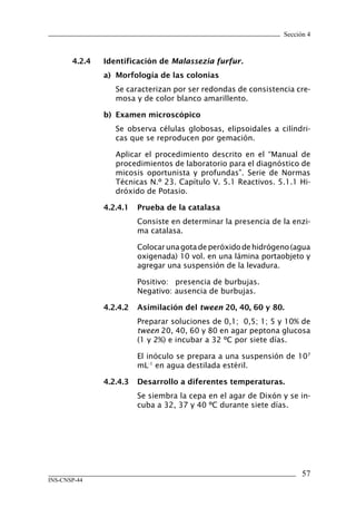 Sección 4



       4.2.4	   Identificación	de	Malassezia furfur.
                a)	 Morfología	de	las	colonias
                   Se caracterizan por ser redondas de consistencia cre-
                   mosa y de color blanco amarillento.

                b)	 Examen	microscópico
                   Se observa células globosas, elipsoidales a cilíndri-
                   cas que se reproducen por gemación.

                   Aplicar el procedimiento descrito en el “Manual de
                   procedimientos de laboratorio para el diagnóstico de
                   micosis oportunista y profundas”. Serie de Normas
                   Técnicas N.º 23. Capítulo V. 5.1 Reactivos. 5.1.1 Hi-
                   dróxido de Potasio.

                4.2.4.1	 Prueba	de	la	catalasa
                        Consiste en determinar la presencia de la enzi-
                        ma catalasa.

                        Colocar una gota de peróxido de hidrógeno (agua
                        oxigenada) 10 vol. en una lámina portaobjeto y
                        agregar una suspensión de la levadura.

                        Positivo: presencia de burbujas.
                        Negativo: ausencia de burbujas.

                4.2.4.2	 Asimilación	del	tween	20,	40,	60	y	80.
                        Preparar soluciones de 0,1; 0,5; 1; 5 y 10% de
                        tween 20, 40, 60 y 80 en agar peptona glucosa
                        (1 y 2%) e incubar a 32 ºC por siete días.

                        El inóculo se prepara a una suspensión de 107
                        mL-1 en agua destilada estéril.

                4.2.4.3	 Desarrollo	a	diferentes	temperaturas.
                        Se siembra la cepa en el agar de Dixón y se in-
                        cuba a 32, 37 y 40 ºC durante siete días.




                                                                      57
INS-CNSP-44
 