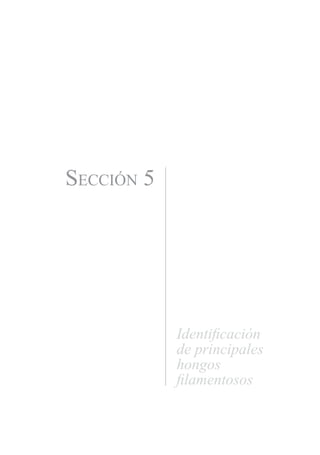 Sección 5




            Identificación
            de principales
            hongos
            filamentosos
 