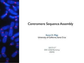 Centromere Sequence Assembly
Karen H. Miga
University of California, Santa Cruz
10/17/17
GRC GIAB Workshop
ASHG
 