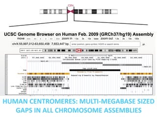 Megabase-sized gapsP-ARM Q-ARM
CEN
HUMAN	
  CENTROMERES:	
  MULTI-­‐MEGABASE	
  SIZED	
  
GAPS	
  IN	
  ALL	
  CHROMOSOME	...
