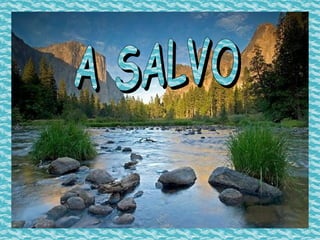 A SALVO 