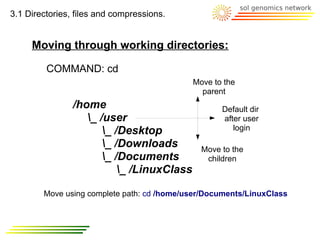 3.1 Directories, files and compressions.


     Moving through working directories:

         COMMAND: cd
                                            Move to the
                                              parent
                                               cd ..
                /home                                Default dir
                   _ /user                          after user
                       _ /Desktop                      login

                       _ /Downloads       Move to the
                       _ /Documents         children
                           _ /LinuxClass cd /Document

        Move using complete path: cd /home/user/Documents/LinuxClass
 