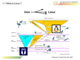 1.1 What is Linux ?


                      Unix   Linux




                               Feduccia A, Trends Ecol. Evol. 2001
 