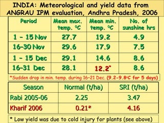INDIA: Meteorological and yield data from  ANGRAU IPM evaluation, Andhra Pradesh, 2006 * Low yield was due to cold injury ...