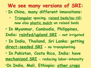 We see many versions of SRI: <ul><li>In China, many different innovations: </li></ul><ul><ul><li>Triangular  spacing,  rai...