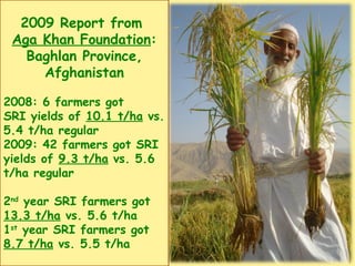 2009 Report from  Aga Khan Foundation : Baghlan Province, Afghanistan 2008: 6 farmers got  SRI yields of  10.1 t/ha  vs. 5...