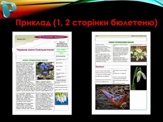 Приклад (1, 2 сторінки бюлетеню)

 