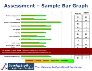 Introduction to Operational Excellence (2-day workshop) | PDF