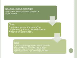 Αμυλούχα τρόφιμα και σιτηρά 
Πηγή αμύλου , φυσική πρωτεΐνη , βιταμίνες Β , 
ίνες και μέταλλα 
Λίπος 
Πηγή κορεσμένων λιπαρών οξέων 
(μαργαρίνη , βούτυρο). Μονοακόρεστα 
λιπαρά οξέα (ελαιόλαδο). 
Ποτά 
Το ανθρώπινο σώμα σε φυσιολογικές συνθήκες 
χάνει τουλάχιστον δύο λίτρα νερό τη μέρα , 
ποσότητα που πρέπει να αντικατασταθεί 
προσλαμβάνοντας νερό από τροφές και ποτά 
 