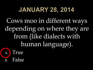 Cows moo in different ways
depending on where they are
from (like dialects with
human language).
A.
B.

True
False

 
