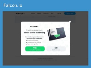 Falcon.io
 