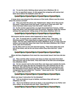 101 clear contradictions in the bible | PDF