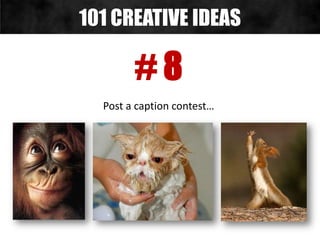 # 8
Post a caption contest…
101 CREATIVE IDEAS
 