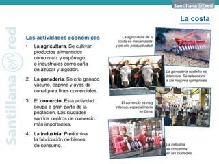 Las actividades económicas La  agricultura . Se cultivan productos alimenticios  como maíz y espárrago,  e industriales como caña  de azúcar y algodón. La agricultura de la costa es mecanizada  y de alta productividad. La industria  se concentra  en las ciudades. La ganadería costeña es intensiva. Se selecciona  a los mejores ejemplares. El comercio es muy intenso, especialmente en Lima. 2. La  ganadería . Se cría ganado vacuno, caprino y aves de corral para fines comerciales. 3. El  comercio . Esta actividad ocupa a gran parte de la población. Las ciudades  son los centros de comercio más importantes. 4. La  industria . Predomina  la fabricación de bienes  de consumo. La costa 