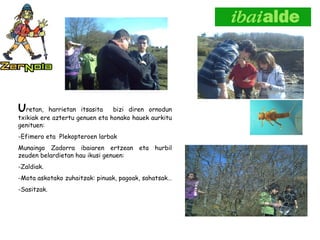 U retan, harrietan itsasita  bizi diren ornodun txikiak ere aztertu genuen eta honako hauek aurkitu genituen: -Efimero eta  Plekopteroen larbak Munaingo Zadorra ibaiaren ertzean eta hurbil zeuden belardietan hau ikusi genuen: -Zaldiak. -Mota askotako zuhaitzak: pinuak, pagoak, sahatsak… -Sasitzak. 