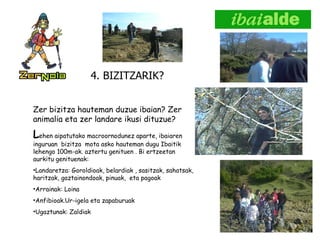 4. BIZITZARIK? Zer bizitza hauteman duzue ibaian? Zer animalia eta zer landare ikusi dituzue? L ehen aipatutako macroornodunez aparte, ibaiaren inguruan  bizitza  mota asko hauteman dugu Ibaitik lehengo 100m-ak. aztertu genituen . Bi ertzeetan aurkitu genituenak: Landaretza: Goroldioak, belardiak , sasitzak, sahatsak, haritzak, gaztainondoak, pinuak,  eta pagoak Arrainak: Loina Anfibioak.Ur-igela eta zapaburuak Ugaztunak: Zaldiak 