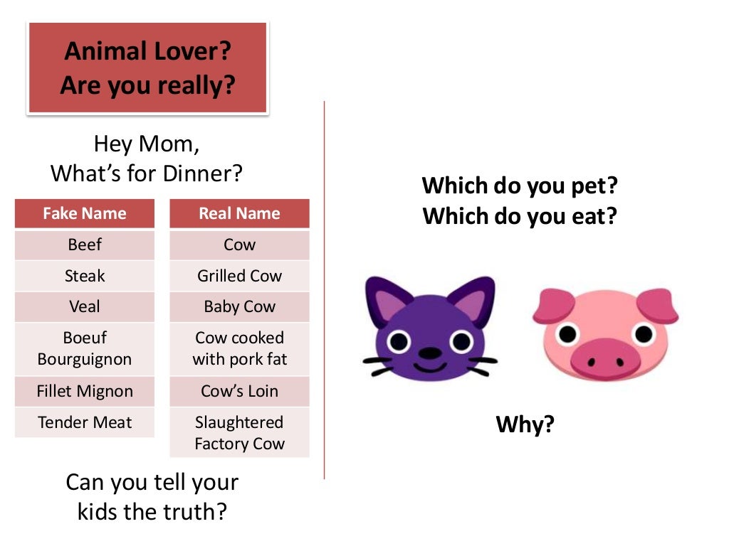 101 Reasons To Go Vegetarian