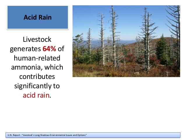 Acid rain speech