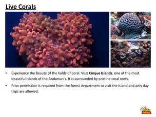 Live Corals




•   Experience the beauty of the fields of coral. Visit Cinque Islands, one of the most
    beautiful islands of the Andaman's. It is surrounded by pristine coral reefs.
•   Prior permission is required from the forest department to visit the island and only day
    trips are allowed.
 