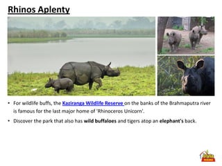 Rhinos Aplenty




• For wildlife buffs, the Kaziranga Wildlife Reserve on the banks of the Brahmaputra river
  is famous for the last major home of 'Rhinoceros Unicorn'.
• Discover the park that also has wild buffaloes and tigers atop an elephant's back.
 
