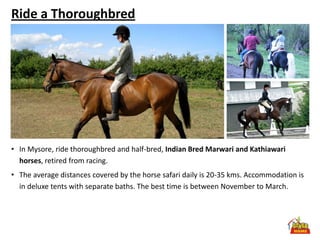 Ride a Thoroughbred




• In Mysore, ride thoroughbred and half-bred, Indian Bred Marwari and Kathiawari
  horses, retired from racing.
• The average distances covered by the horse safari daily is 20-35 kms. Accommodation is
  in deluxe tents with separate baths. The best time is between November to March.
 