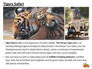 Tigers Safari




• Tiger Safaris offers a full experience of Indian wildlife. The Periyar Tiger trail, is an
  exciting trekking program through the deep forests in the Periyar river valley, near the
  Thekkady tourist resort in Idukki district, Kerela. Led by a small team of experienced
  guides, hike into cool, green forests and out again into vast, sunny meadows.
• One can hang out with an astounding array of wildlife including elephants, sambhar
  deer, birds like the brilliant blue kingfisher and the great Indian hornbill, and more than
  100 species of butterflies.
 