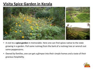 Visita Spice Garden in Kerala




• A visit to a spice garden in memorable. Here one can find spices native to the state
  growing in a garden. Pull some nutmeg from the bark of a nutmeg tree or wrench out
  some peppercorns.
• Owned by families, one can get a glimpse into their simple homes and a taste of their
  gracious hospitality.
 
