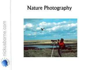 Nature Photography
 