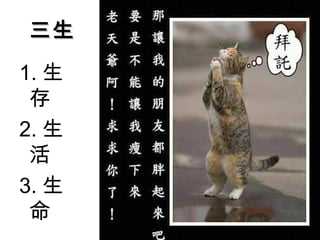 三生
1. 生
 存
2. 生
 活
3. 生
 命
 