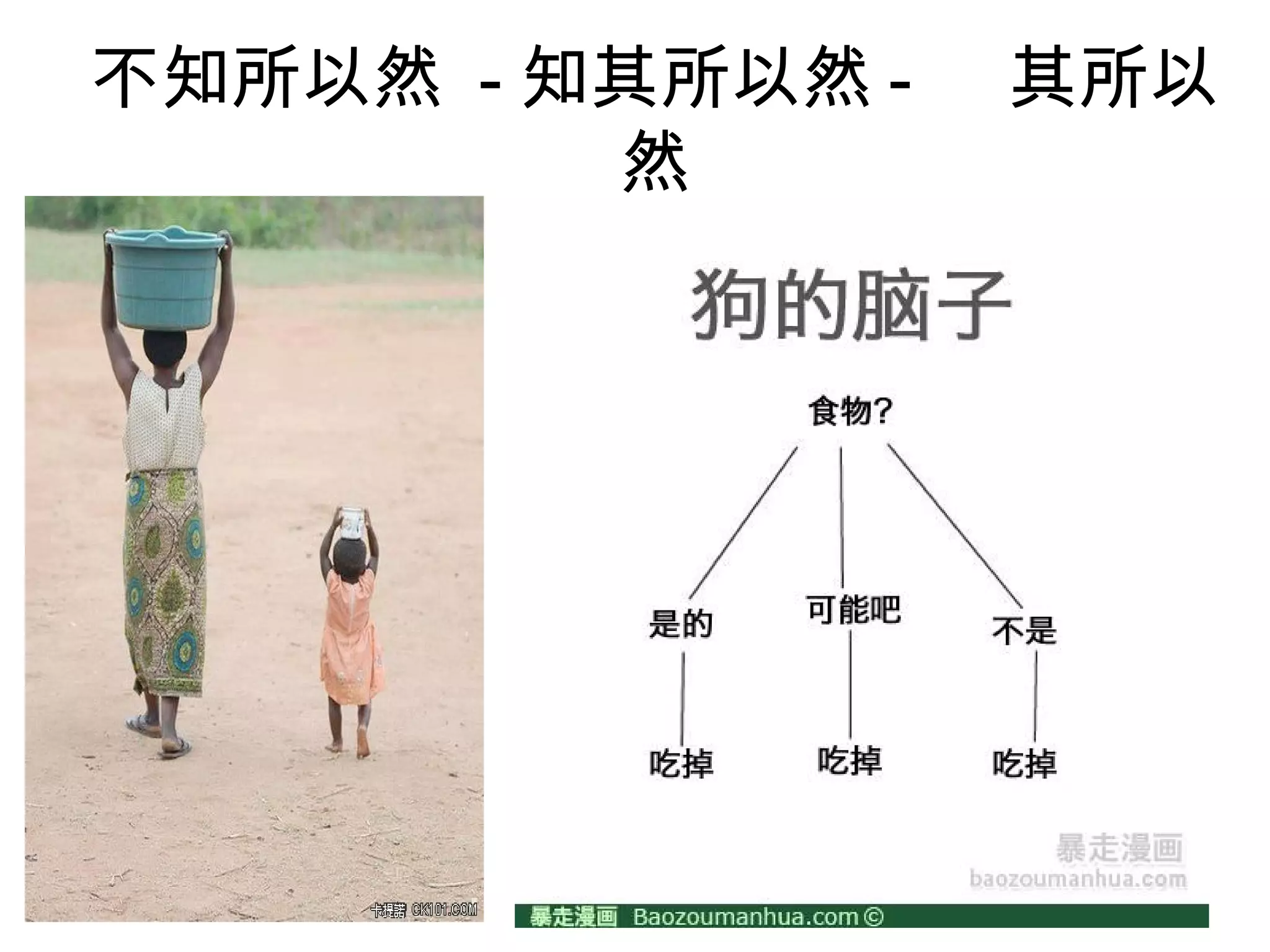 不知所以然 - 知其所以然 -   其所以
         然
 