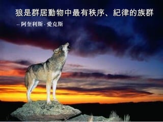 05/19/13 www.gusiguo.com
狼是群居動物中最有秩序、紀律的族群狼是群居動物中最有秩序、紀律的族群
-- 阿奎利斯 · 愛克斯
 