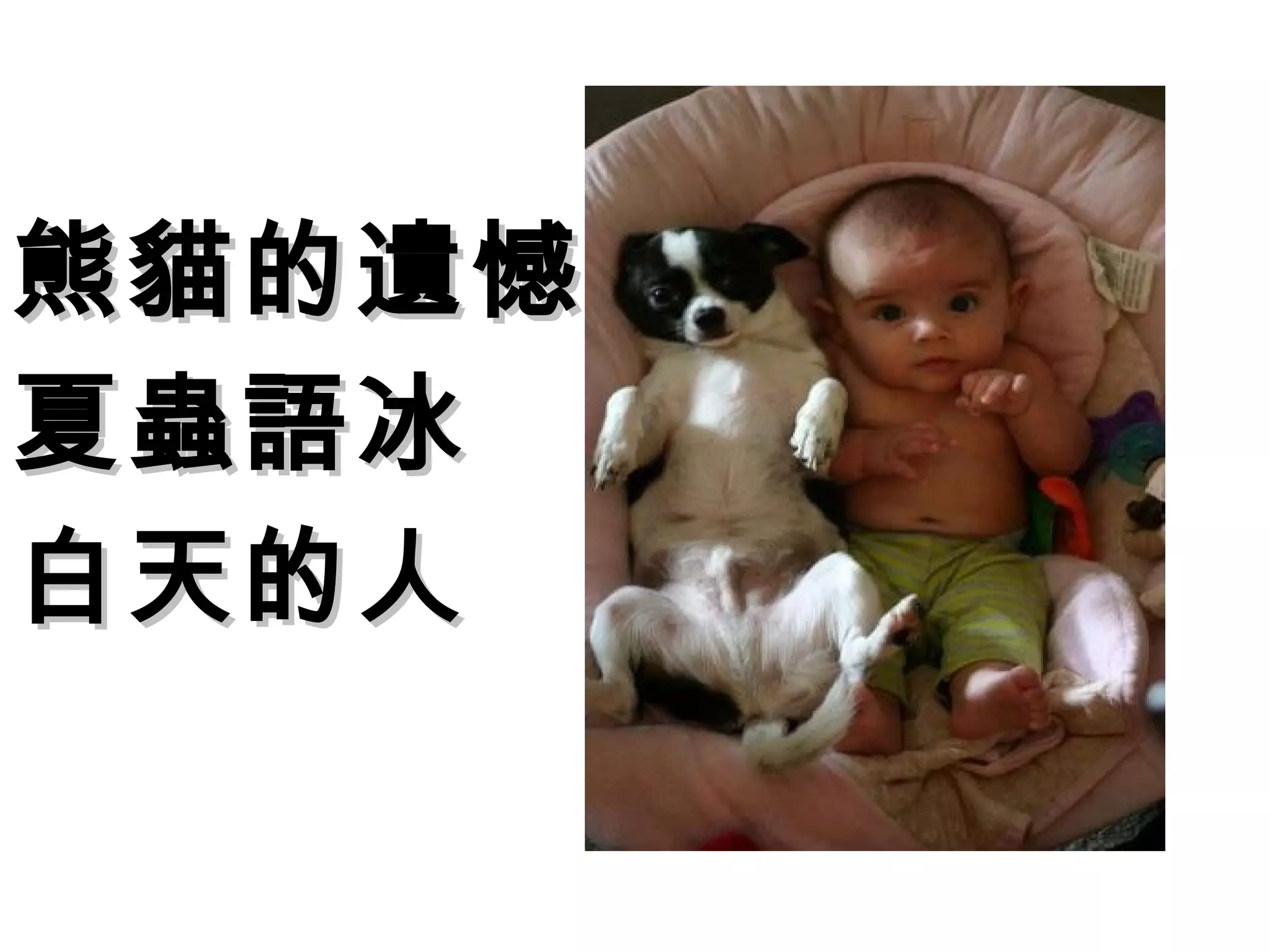 熊貓的遺憾
夏蟲語冰
白天的人
 