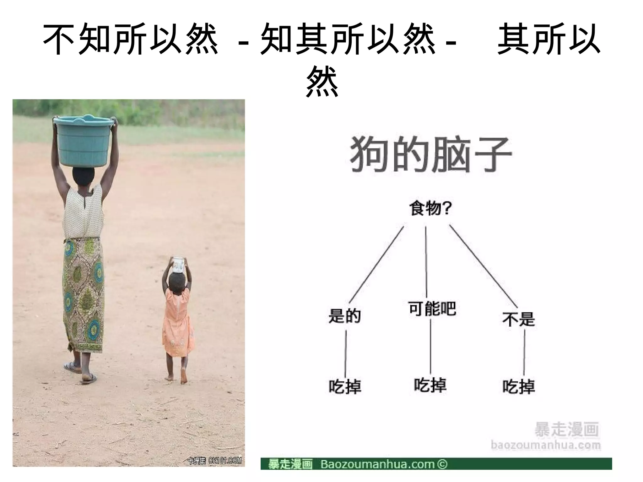不知所以然 - 知其所以然 - 其所以
然
 