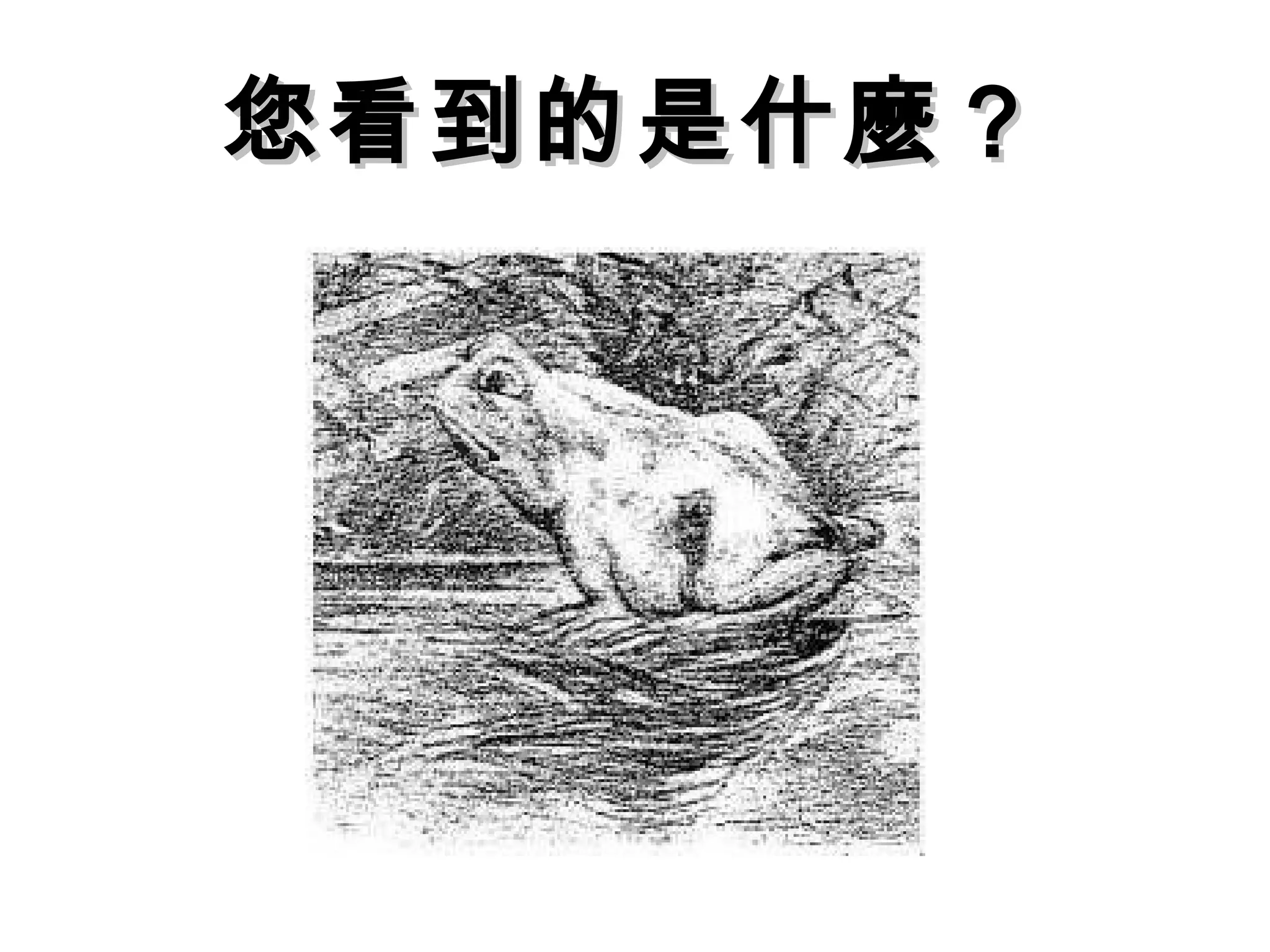 您看到的是什麼？您看到的是什麼？
 
