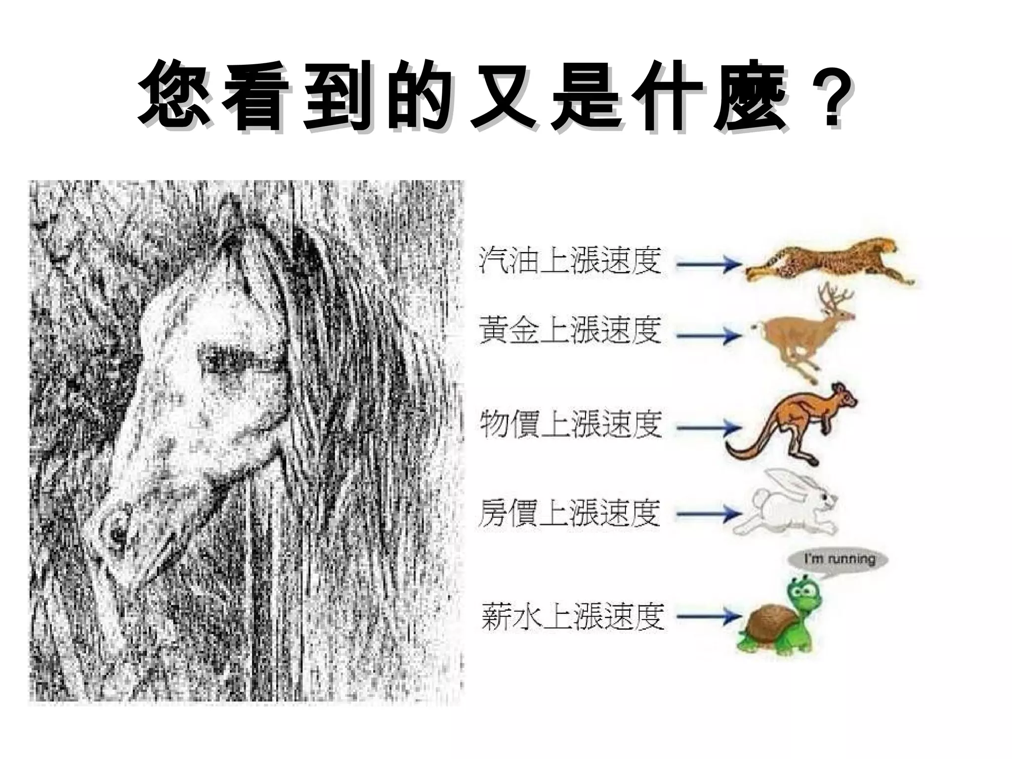 您看到的又是什麼？您看到的又是什麼？
 