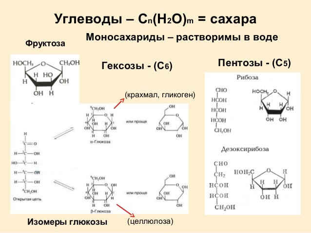 Синтез целлюлозы из глюкозы. Целлюлоза в глюкозу реакция. Реакция образования целлюлозы из глюкозы. Реакция полимеризации глюкозы. Целлюлоза в глюкозу реакция.