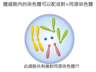 體細胞內的染色體可以配成對=同源染色體
此細胞共有幾對同源染色體??
 