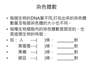染色體數
• 每個生物的DNA量不同,打包出來的染色體
數量及每個染色體的大小也不同。
• 每種生物細胞內的染色體數是固定的、也
是這個生物的特徵：
• 如： 人 ---( )條、 _________對
• 黑猩猩---( )條、 _________對
• 果蠅 ---( )條、 _________對
• 豌豆 ---( )條、 _________對
 