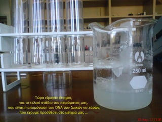 Τώρα είμαστε έτοιμοι,
       για το τελικό στάδιο του πειράματος μας,
που είναι η απομόνωση του DNA των ζωικών κυττάρων,
       που έχουμε προσθέσει στο μείγμα μας …
 