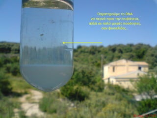 Παρατηρούμε το DNA
 να περνά προς την επιφάνεια,
αλλά σε πολύ μικρές ποσότητες,
       σαν φυσαλίδες…
 