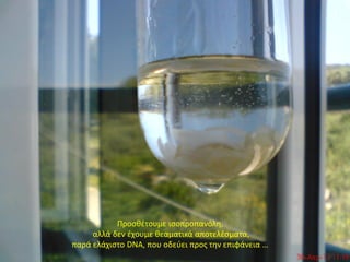 Προσθέτουμε ισοπροπανόλη,
     αλλά δεν έχουμε θεαματικά αποτελέσματα,
παρά ελάχιστο DNA, που οδεύει προς την επιφάνεια …
 