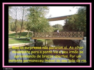 Mas as surpresas não pararam aí. Ao olhar
novamente para a ponte viu o seu irmão se
aproximando de braços abertos. Por um
instante permaneceu imóvel do seu lado do rio.
 