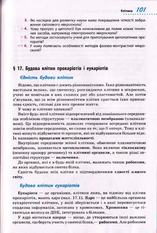 Клітина 101
3. Які наслідки для розвитку науки мало покращення чіткості зобра­
ження світлового мікроскопа?
4. Чому прогрес у цитології був неможливим до появи нових техніч­
них засобів, наприклад електронного мікроскопа?
5. Які методи застосовують учені для приготування цитологічних пре­
паратів?
6. у чому полягають особливості методів фазово-контрастної мікро­
скопії?
§17. Будова клітин прокаріотів і еукаріотів
Єдність будови клітин
Відомо, що клітини є досить різноманітними. їх н я різноманітність
настільки велика, що спочатку, розглядаючи к літи н и в мікроскоп,
учені не помічали в них схож их рис або властивостей. А ле п отім
з’ясували, що за всім різном ан іттям к л іти н криється їх н я принци­
пова єдність, сп ільн і для них прояви ж иття.
У чому ж к літи н и однакові?
В м іст будь-якої к літи н и відокремлений від зовніш нього середови­
ща особливою структурою — плазматичною мембраною (нлазмале-
мою). Ц я відокремленість дозволяє створювати всередині к літи н и
зовсім особливе середовище, не схоже на те, що її оточує. Том у в к л і­
ти н і м ож уть відбуватися ті процеси, я к і не відбуваються більш е ніде,
їх називають процесами життєдіяльності.
В нутріш нє середовище ж и вої кліти н и , обмежене плазматичною
мембраною, називається цитоплазмою. Вона включає гіалоплазму
(основну прозору речовину) та клітинні органели, а також р ізн і не­
постійн і структури — включення.
До органел, я к і є в будь-якій к л іти н і, належать також рибосоми,
на яких відбувається синтез білка.
Єдність будови всіх к л іти н є підтвердж енням єдності живого
світу.
Будова клітин еукаріотів
Еукаріоти — це організми, кліти н и яких, на від м ін у від кліти н
прокаріотів, мають ядро (мал. 17.1). Ядро — це найбільш а органела
еукаріотичної кл іти н и , у я к ій зберігається і з я к о ї переписується
спадкова інф ормація, записана у хромосомах. Хромосома — це г і­
гантська молекула Д Н К , інтегрована з білками.
У ядрі м іститься ядерце — місце, де утворюються ін ш і важ ливі
органели, що беруть участь у синтезі білка,— рибосоми. Але рибосоми
 