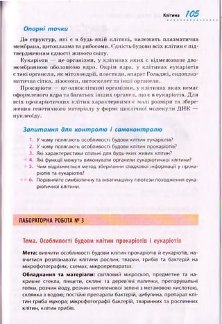 Клітина 105
Опорні точки
До структур, я к і є в будь-якій к л іти н і, належ ать плазматична
мембрана, цитоплазма та рибосоми. Єдність будови всіх к л іти н є п ід ­
твердженням єдності ж ивого світу.
Еукаріоти — це організми, у клітинах яки х є відмежоване дво-
мембранною оболонкою ядро. О крім ядра, у к л іти н ах еукаріотів
є такі органели, як м ітохондрії, пластиди, апарат Гольдж і, ендоплаз­
матична сітка, лізосоми, цитоскелет та ін ш і органели.
П рокаріоти — це одноклітинні організми, у кліти нах яких немає
оформленого ядра та багатьох ін ш и х органел, що є в еукаріотів. Для
всіх прокаріотичних кліти н характерними є малі розміри та збере­
ж ення генетичного матеріалу у ф ормі ци клічн ої молекули Д Н К —
нуклеоїду.
Запитання для контролю і самоконтролю
1. У чому полягають особливості будови клітин еукаріотів?
2. У чому полягають особливості будови клітин прокаріотів?
3. Які характеристики спільні для будь-яких живих клітин?
4. Які функції можуть виконувати органели еукаріотичної клітини?
5. Чим відрізняється метод зберігання спадкової інформації у прока­
ріотів та еукаріотів?
6. Порівняйте симбіотичну та інвагінаційну гіпотези походження еука­
ріотичної клітини.
ЛАБОРАТОРНА РОБОТА № З
Тема. Особливості будови клітин прокаріотів і еукаріотів
Мета: вивчити особливості будови клітин прокаріотів й еукаріотів, на­
вчитися розпізнавати клітини рослин, тварин, грибів та бактерій на
мікрофотографіях, схемах, мікропрепаратах.
Обладнання та матеріали: світловий мікроскоп, предметне та на­
кривне стекла, пінцети, скляні та дерев'яні палички, препарувальні
голки, розчин йоду, розчин метиленової зелені з метановою кислотою,
склянка з водою; постійні препарати бактерій, цибулина, препарат клі­
тин гриба мукора; мікрофотографії бактерій, тваринних та рослинних
клітин, клітин грибів.
 