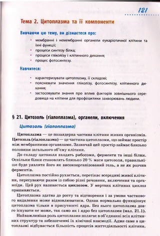 12!
Тема 2. Цитоплазма та ї ї компоненти
Вивчаючи цю тему, ви дізнаєтеся про:
• мембранні і немембранні органели еукаріотичної клітини та
їхні функції;
• процеси синтезу білка;
• процеси гліколізу і клітинного дихання;
• процес фотосинтезу.
Навчитеся:
• характеризувати цитоплазму, її складові;
• пояснювати значення гліколізу, фотосинтезу, клітинного ди­
хання:
• застосовувати знання про вплив факторів зовнішнього сере­
довища на клітини для профілактики захворювань людини.
§ 21. Цитозоль (гіалоплазма), органели, включення
Цитозоль (гіалоплазма)
Цитоплазма — це позаядерна частина кліти н и ж ивих організмів.
Цитозоль (гіалоплазма) — це частина цитоплазми, що займає простір
м іж мембранними органелами. Зазвичай цей простір займає близько
половини загального об’єму кліти н и.
До складу цитозоля входять рибосоми, ферменти та ін ш і білки.
О скільки білки становлять близько 20 % маси цитозоля, правильні­
ше буде уявляти його як високоорганізований гель, а не я к розчин
ферментів.
Ц итоплазма постійно рухається, перетікає всередині ж и вої к л іти ­
ни, пересуваючи разом із собою р ізн і речовини, вклю чення та орга­
ноїди. Ц ей рух називається циклозом. У мертвих кліти н ах циклоз
припиняється.
Цитоплазма здатна до росту та відтворення і за умови частково­
го видалення може відновлю ватися. Однак нормально ф ункціонує
цитоплазма тіл ьк и в присутності ядра. Без нього цитоплазма дов­
го існувати не може, так само як і ядро без цитоплазми (мал. 21.1).
Н айваж ливіш а роль цитоплазми полягає в об’єднанні всіх к л іти н ­
них структур та забезпеченні їх х ім іч н о ї взаємодії. А д ж е саме в ц и­
топлазмі відбувається більш ість процесів ж иттєдіяльності кліти ни.
 