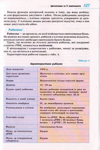 Цитоплазма та її компоненти 127
Власна ф ункція центріолей полягає в тому, щ о вони необхід­
н і для формування д ж гути ків і війок. П ісл я руйнування центріолі
не поновлюються, і кліти на втрачає здатність утворювати ц і орга­
нели руху. У кліти нах вищ их рослин центріолі відсутні, том у в них
немає дж гути ків або війок.
Рибосоми'
Рибосома — це органела, на я к ій відбувається синтезування білка.
На відм ін у від ін ш их органел, рибосом у к л іти н і величезна кількість,
оскільки к л іти н і необхідно синтезувати багато білків.
Група, що включає до кількох десятків рибосом, я к і поєднанні
з однією іР Н К , називається полісомою.
У мітохондріях і хлоропластах є рибосоми, менш і за розмірами,
н іж ті, що містяться в цитоплазмі.
Характеристика рибосом подана у табл. 4.
Таблиця 4
Характеристика рибосом
Дата відкриття 1953 р.
Для яких організмів
характерні
Містяться в клітинах усіх живих орга­
нізмів
Форма Мікроскопічні тільця округлої форми
Діаметр 15— 20 нм
Будова однієї рибосоми Кожна рибосома складається із двох не­
однакових за розмірами частинок: малої
та великої субодиниць (мал. 22.4)
Кількість п одній клітині Багато тисяч
Наявність мембрани Н і, це немембранна органела
Розташування в клітині На мембранах гранулярної ендоплазма­
тичної сітки або вільно в цитоплазмі,
усередині мітохондрій та пластид
Хімічний склад Білки та рРНК. Мала субодиниця —
1 молекула рРН К і 20 молекул білка,
велика — 3 рРН К і 35 молекул білка
Функції Синтезування білка
Місце, де синтезується
рРНК
Ядерце
Місце, де утворюються
субодиниці
Ядерце
 