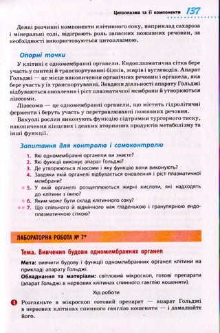 Цитоплазма та її компоненти
Д еякі розчинні компоненти клітинного соку, наприклад сахароза
і мінеральні солі, відіграю ть роль запасних пож ивних речовин, за
необхідності використовую ться цитоплазмою.
Опорні точки
У к л іти н і є одномембранні органели. Ендоплазматична сітка бере
участь у синтезі й транспортуванні білків, ж ирів і вуглеводів. Апарат
Гольдж і — це місце накопичення органічних речовин і органела, яка
бере участь у їх транспортуванні. Завдяки діяльності апарату Гольдж і
відбуваються оновлення і ріст плазматичної мембрани й утворюються
лізосоми.
Л ізосоми — це одномембранні органели, що м істять гідролітичні
ферменти і беруть участь у перетравлюванні пож ивних речовин.
Вакуолі рослин виконую ть ф ункцію підтримки тургорного тиску,
накопичення кінцевих і деяких вторинних продуктів метаболізму та
ін ш і ф ункції.
Запитання для контролю і самоконтролю
1. Які одномембранні органели ви знаєте?
2. Які функції виконує апарат Гольджі?
3. Де утворюються лізосоми і яку функцію вони виконують?
4. Завдяки якій органелі відбувається оновлення і ріст плазматичної'
мембрани?
5. У якій органелі розщеплюються жирні кислоти, які надходять
до клітини з їжею?
6. Яким може бути склад клітинного соку?
7. Що спільного й відмінного між гладенькою і гранулярною ендо­
плазматичною сіткою?
Л А Б О Р А Т О Р Н А Р О Б О Т А №7*
Тема. Вивчення будови одномембранних органел
Мета: вивчити будову і функції одномембранних органел клітини на
прикладі апарату Гольджі.
Обладнання та матеріали: світловий мікроскоп, готові препарати
(апарат Гольджі в нервових клітинах спинного ганглію кошеняти).
Хід роботи
О Розгляньте в мікроскоп готовий препарат — апарат Гольдж і
в нервових клітинах спинного ганглію кошеняти — і замалюйте
його.
 