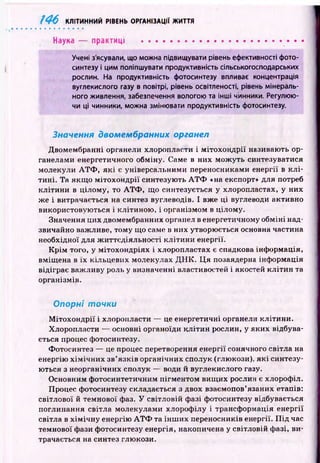 146 КЛІТИННИЙ РІВЕНЬ ОРГАНІЗАЦІЇ ЖИТТЯ
Наука — практиці ...........................................................
Учені з'ясували, що можна підвищувати рівень ефективності фото­
синтезу і цим поліпшувати продуктивність сільськогосподарських
рослин. На продуктивність фотосинтезу впливає концентрація
вуглекислого газу в повітрі, рівень освітленості, рівень мінераль­
ного живлення, забезпечення вологою та інші чинники. Регулюю­
чи ці чинники, можна змінювати продуктивність фотосинтезу.
Значення двомембранних органел
Двомембранні органели хлоропласти і м ітохо н др ії називають ор­
ганелами енергетичного обміну. Саме в них мож уть синтезуватися
молекули А Т Ф , я к і є універсальними переносниками енергії в к л і­
ти ні. Та якщ о м ітохо н др ії синтезую ть А Т Ф «на експорт» для потреб
кліти н и в цілому, то А Т Ф , щ о синтезується у хлоропластах, у них
же і витрачається на синтез вуглеводів. І вже ці вуглеводи активно
використовую ться і клітиною , і організмом в цілому.
Значення цих двомембранних органел в енергетичному обм іні над­
звичайно важливе, тому що саме в них утворюється основна частина
необхідної для ж иттєдіяльн ості к літи н и енергії.
К р ім того, у м ітохондріях і хлоропластах є спадкова інф ормація,
вміщ ена в їх кільцевих молекулах Д Н К . Ц я позаядерна інф ормація
відіграє важ ливу роль у визначенні властивостей і якостей кліти н та
організмів.
Опорні точки
М ітох он д р ії і хлоропласти — це енергетичні органели кліти ни.
Хлоропласти — основні органоїди к л іти н рослин, у яких відбува­
ється процес фотосинтезу.
Фотосинтез — це процес перетворення енергії сонячного світла на
енергію х ім іч н и х зв’язків органічних сполук (глюкози), я к і синтезу­
ються з неорганічних сполук — води й вуглекислого газу.
Основним ф отосинтетичним пігм ентом вищ их рослин є хлорофіл.
Процес фотосинтезу складається з двох взаємопов’язаних етапів:
світлової й темнової фаз. У світловій фазі фотосинтезу відбувається
поглинання світла молекулами хлороф ілу і трансф ормація енергії
світла в х ім іч н у енергію А Т Ф та ін ш и х переносників енергії. П ід час
темнової фази фотосинтезу енергія, накопичена у світловій фазі, ви­
трачається на синтез глюкози.
 